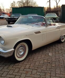 Ford Thunderbird Baby Bird parts 1955 - 1957