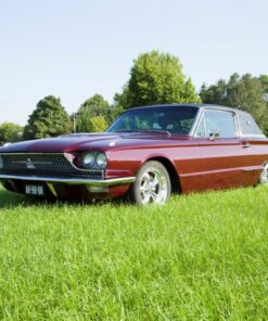 Ford Thunderbird Flair Bird parts 1964-1966